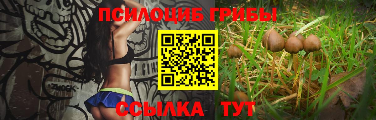Галлюциногенные грибы мухоморы  Вход с VPN  Качканар 